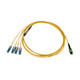 Tripp Lite  câble InfiniBand et à fibres optiques 2,01 m 12x MTP/MPO 4x SN OFNR Noir, Bleu, Vert, Blanc, Jaune - N390-02M-4S-AP