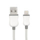 Rocstor  câble Lightning 2 m Blanc - Y10C258-W1