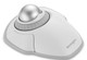 Kensington  souris Bureau Ambidextre RF sans fil + Bluetooth Optique 1600 DPI - K70991WW