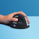 R-Go Tools Souris Ergonomique R-Go HE Break avec logiciel de pause, gaucher, grand (longueur de la main > 185 mm), bluetooth, noir - RGOHELELAWL