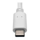 Tripp Lite  adaptateur graphique USB 7860 x 4320 pixels Blanc - U444-06N-DP8WC