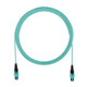 Panduit  câble InfiniBand et à fibres optiques 2 m PanMPO Couleur aqua - FZTRL7N7NBNM002
