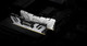 Kingston Technology FURY 32 Go 6400 MT/s DDR5 CL32 DIMM Renegade Silver XMP - KF564C32RS-32
