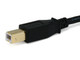 Monoprice  câble USB USB 2.0 0,9 m USB A USB B Noir - 39916