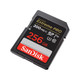 SanDisk Extreme PRO 256 Go SDXC UHS-I Classe 10 - SDSDXXD-256G-GN4IN