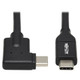 Tripp Lite  câble USB USB 3.2 Gen 1 (3.1 Gen 1) 0,3 m USB C Noir - U420-001-RA Tripp Lite  câble USB USB 3.2 Gen 1 (3.1 Gen 1) 0,3 m USB C Noir - U420-001-RA