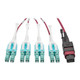 Tripp Lite  câble InfiniBand et à fibres optiques 2 m MPO/MTP 8x LC CMP Noir, Magenta, Turquoise - N845-02M-8L-MG