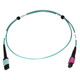 Tripp Lite  câble InfiniBand et à fibres optiques 1 m MTP OFNP Couleur aqua - N846D-01M-24DAQ