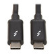 Tripp Lite  Câble Thunderbolt 1,5 m 20 Gbit/s Noir - MTB3-01M5-5A-B