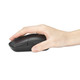 Kensington MY430 EQ souris Bureau Ambidextre RF sans fil + Bluetooth Optique 2400 DPI - K75507WW