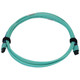 Tripp Lite  câble InfiniBand et à fibres optiques 3 m MPO/MTP OFNR Couleur aqua, Noir, Bleu - N846B-03M-24-P