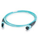 C2G  câble InfiniBand et à fibres optiques 10 m MPO OFNR Noir, Turquoise - 31311