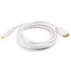 Monoprice Mini DisplayPort/DVI, 3.048 m 3,048 m Blanc - 6000
