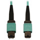 Tripp Lite  câble InfiniBand et à fibres optiques MPO/MTP OFNR Couleur aqua, Noir - N842B-10M-12-MF