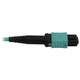 Tripp Lite  câble InfiniBand et à fibres optiques MPO/MTP OFNR Couleur aqua, Noir - N842B-10M-12-MF
