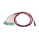 Tripp Lite  câble InfiniBand et à fibres optiques 2,01 m 16x MTP/MPO 8x SN OFNR Couleur aqua, Noir, Vert, Magenta, Blanc - N845-02M-8S-MG