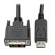 Tripp Lite  câble vidéo et adaptateur 4,5 m DisplayPort DVI-D Noir - P581-015