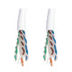 Tripp Lite  câble de réseau Blanc 305 m Cat6a U/UTP (UTP) - N223-01K-WH