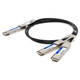 AddOn Networks  câble InfiniBand et à fibres optiques 2,5 m 2xQSFP28 QSFP-DD Noir, Argent - CAB-D-2Q-200G-2-5M-AO