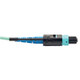 Tripp Lite  câble InfiniBand et à fibres optiques 10,06 m MTP Noir, Turquoise - N846-10M-24-P