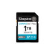 Kingston Technology Canvas Go! Plus 1 To SDXC Canvas Go Plus Gen4 200 Mo/s C10 UHS-I U3 V30 - SDG4/1TB