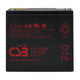 Tripp Lite  Batterie de l'onduleur Sealed Lead Acid (VRLA) 12 V 55 Ah - RBC12V55ET