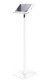 Compulocks 150W11GAPX9W – Support antivol pour tablettes Blanc 27,9 cm (11")