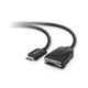 Belkin  câble vidéo et adaptateur 1 x 20 pin DisplayPort 1 x 24 pin digital DVI Noir - F2CD005B