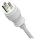 Tripp Lite  protection surtension Blanc 4 sortie(s) CA 120 V 4,6 m - PS-415-HG-OEMLM