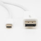 Rocstor  câble vidéo et adaptateur 3 m Mini DisplayPort USB Type-C Blanc - Y10C241-W1