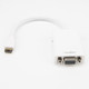 Rocstor  câble vidéo et adaptateur 0,15 m HDMI Type C (Mini) VGA (D-Sub) Blanc - Y10A225-W1