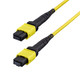 StarTech.com  câble InfiniBand et à fibres optiques 7 m MPO/MTP Violet - OS2MTP24BOFNP7M