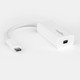 Rocstor  câble DisplayPort USB C Mini DisplayPort Blanc - Y10A241-W1