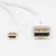 Rocstor  câble vidéo et adaptateur 2 m DisplayPort USB Type-C Blanc - Y10C240-W1