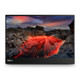 Lenovo ThinkVision M14t Gen 2 Moniteur - 63FDUAR6UZ