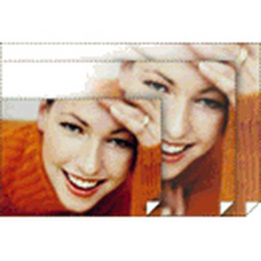 Epson Premium Photo Paper Glossy 17" x 22" 25s - S042092