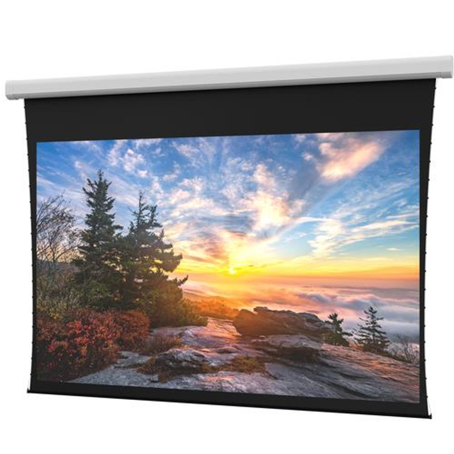 Da-Lite Myriad Reveal écran de projection 4,9 m (193") 16:9 - DL100106EL