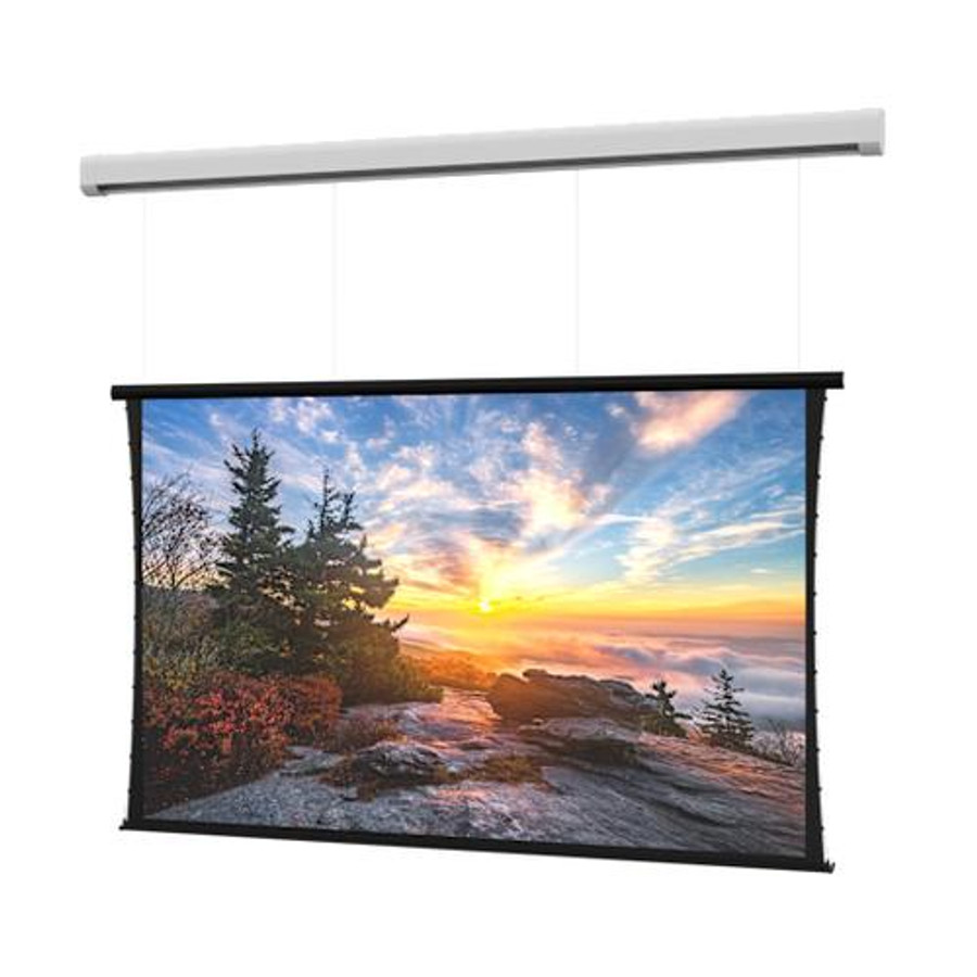 Da-Lite Myriad Reveal écran de projection 5,03 m (198") 16:10 - DL100175EL