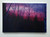 [SOLD] Night Life, Original Oil Painting on Canvas, 36x24", 2025