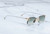Fonda SUN, Jacques Marie Mage sunglasses, metal glasses, japanese eyewear