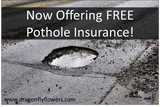 Dragonfly Flowers Now Offering FREE Pothole Insurance