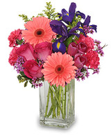 Weekly Facebook Contests Are Back For April - Week 1 - Choose Your Own Arrangment