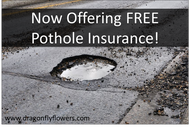 Dragonfly Flowers Now Offering FREE Pothole Insurance