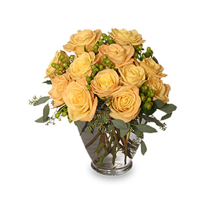 COOL YELLOW SUNRISE Yellow Roses Bouquet Winnipeg Florist Dragonfly