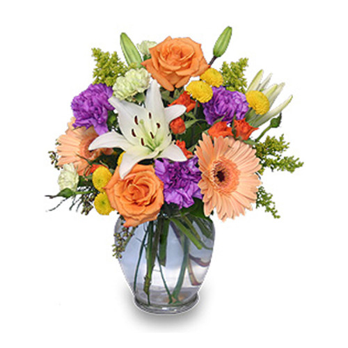 CELEBRATE! Bouquet - Delivered Direct from Your Winnipeg Florists - Dragonfly Flowers