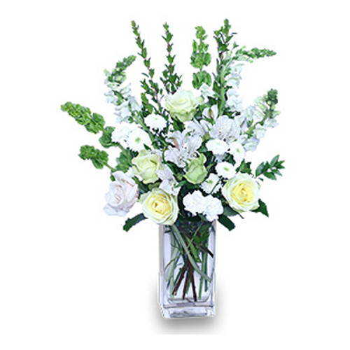  COOL WINTERGREEN Flowers in a Vase