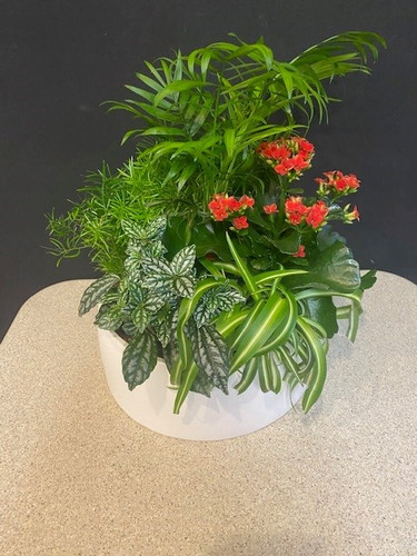 Christmas Holiday Planter