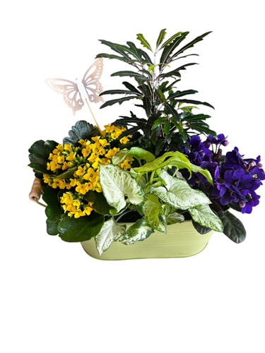 European Plant Garden