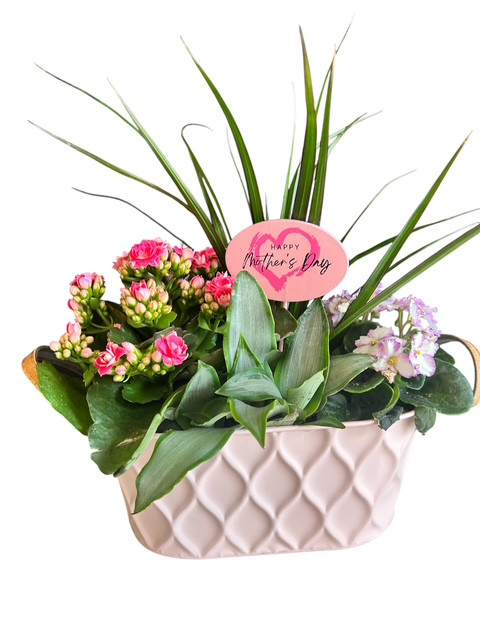 Mothers Day Planter