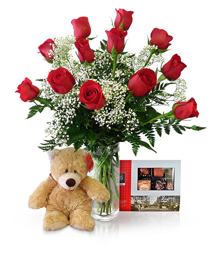 Dozen Roses Superhero by Winnipeg Florist Dragonfly Flowers
One Dozen Roses, 15 Piece Rogers Chocolates and a Cuddly Bear